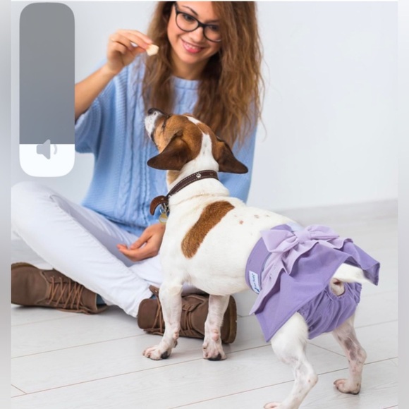 Premium Washable Two Tone Ruffles & Bow Female Dog Diapers 2 Pack Size: Med. New - Picture 7 of 16